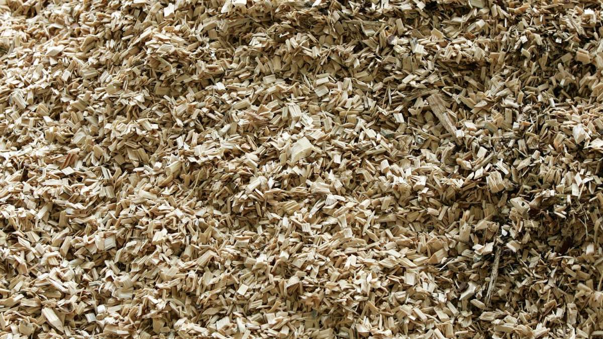 Streven van kolencentrales naar goedkeuring voor omschakeling naar biomassa