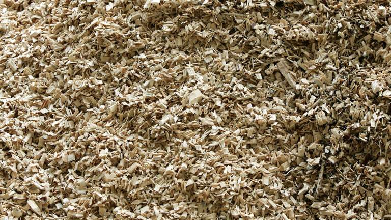 Streven van kolencentrales naar goedkeuring voor omschakeling naar biomassa