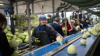 Arbeidsmigranten riskeren uitbuiting door werkgevers in EU