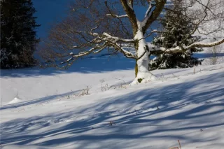 Van sneeuw naar 17 graden: opmerkelijke weersomslag in twee dagen