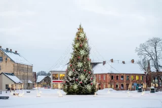 Gemeenten zoeken naar duurzamere alternatieven voor kerstbomen