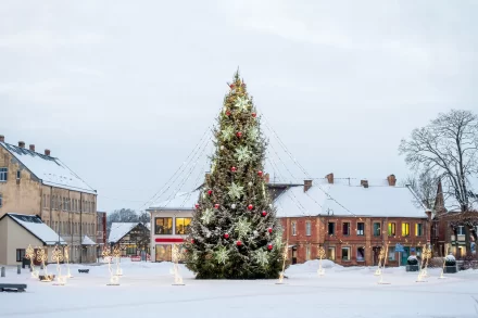 Gemeenten zoeken naar duurzamere alternatieven voor kerstbomen