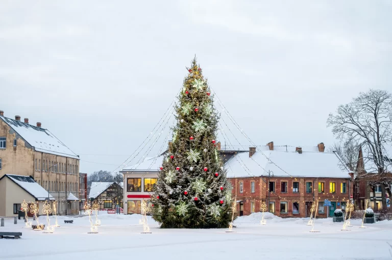 Gemeenten zoeken naar duurzamere alternatieven voor kerstbomen