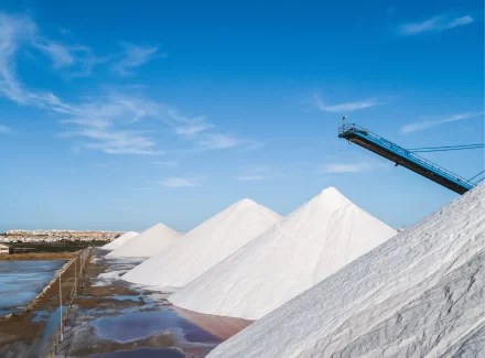 Zoutproducent Nobian sluit unieke afspraak over CO₂-uitstoot