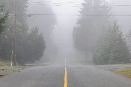 Grijze dagen zijn nu normaal, maar vroeger vaker mist