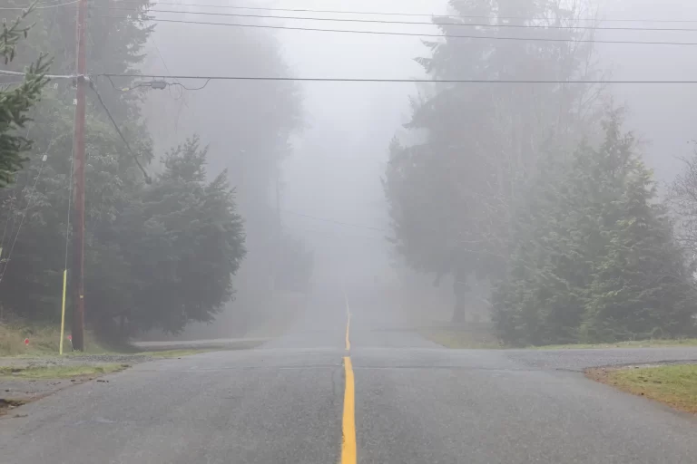 Grijze dagen zijn nu normaal, maar vroeger vaker mist