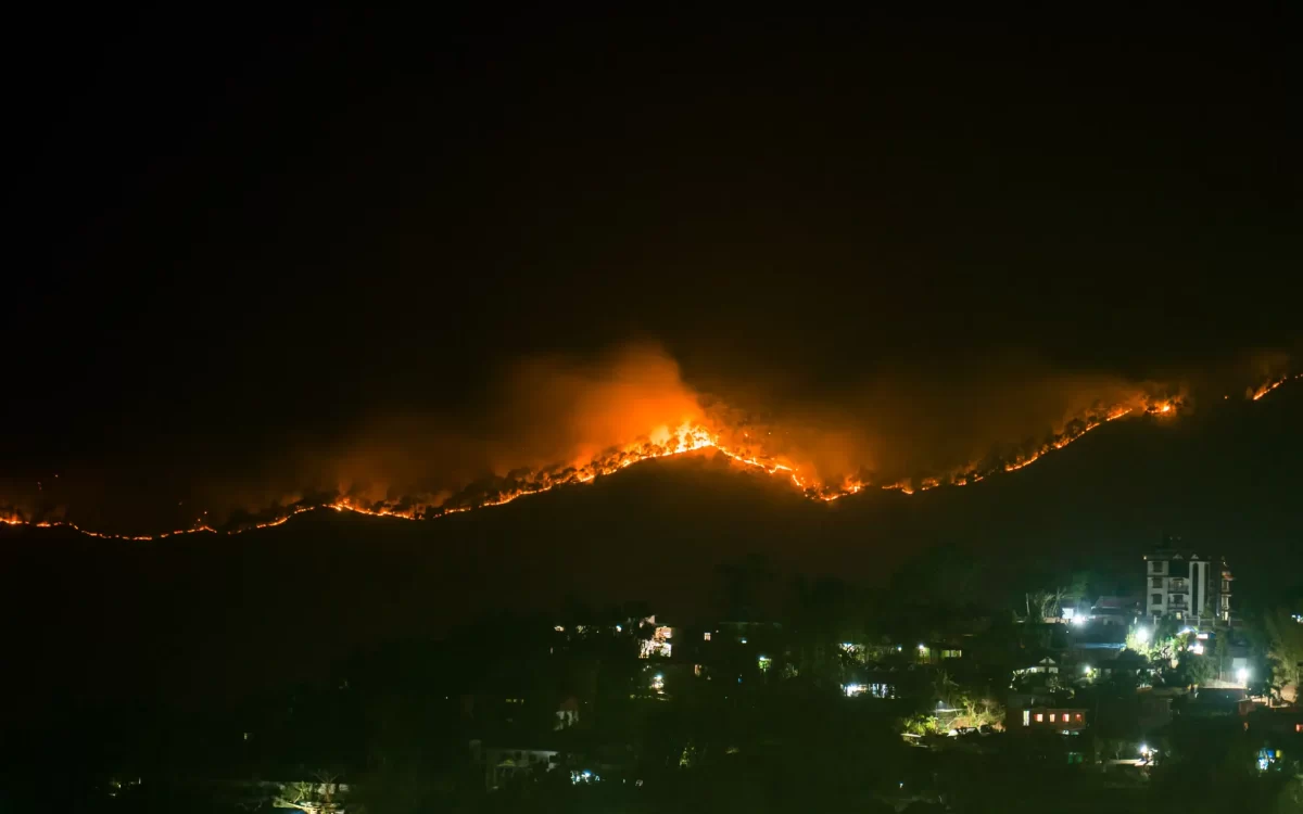 Natuurbrand teistert wijk in Los Angeles: Huizen in vlammen op