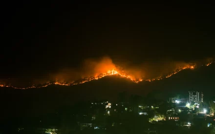 Natuurbrand teistert wijk in Los Angeles: Huizen in vlammen op