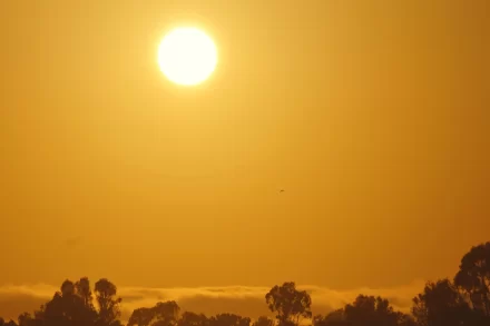 Klimaatdoel van 1,5 Graad Ruim Overschreden: Hoe Kon 2024 Zo Warm Zijn?