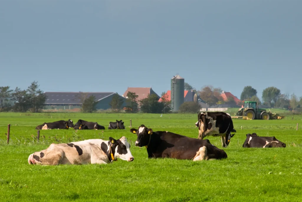 Boeren vaker geïntimideerd door activisten