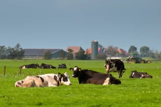 Boeren intimidatie door dierenactivisten neemt toe