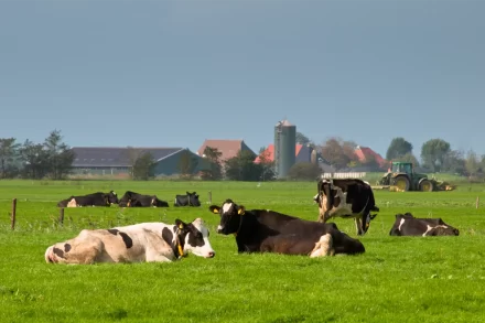 Boeren intimidatie door dierenactivisten neemt toe
